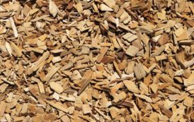 Biomass Cameroon renforce ses capitaux propres, en prélude à son projet de production de combustibles en copeaux de bois