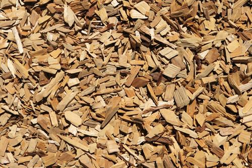 Biomass Cameroon renforce ses capitaux propres, en prélude à son projet de production de combustibles en copeaux de bois