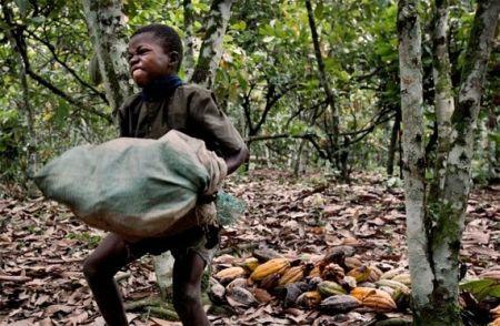 L’UE appelée à faire plus dans la lutte contre le travail infantile dans la filière café-cacao