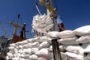 Egypte : les importations de riz pourraient bondir dans les prochaines années
