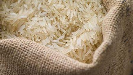 Egypte : les importations de riz pourraient bondir dans les prochaines années