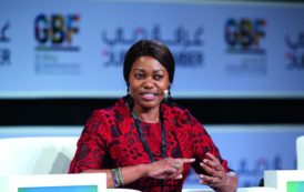 Tsitsi Masiyiwa : La femme millionnaire qui nourrit 40 000 enfants au Zimbabwe