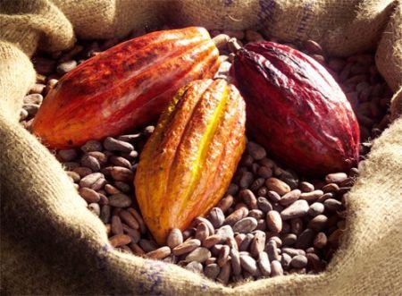 La Côte d’Ivoire et le Ghana veulent s’attaquer à l’instabilité des prix du cacao