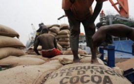 La Côte d’Ivoire veut durcir les conditions d’attribution de droits d’exportation du cacao