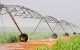Agroalimentaire : Comment l’Aga Khan a redressé le burkinabè Sosuco