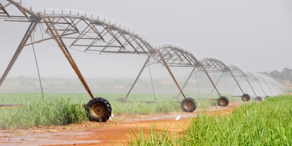 Agroalimentaire : Comment l’Aga Khan a redressé le burkinabè Sosuco