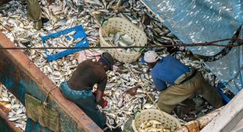 Le Gabon recherche des investisseurs dans la filière pêche et aquaculture à Bilbao