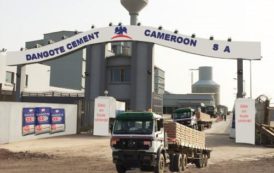 Cameroun: le Nigérian Dangote déclare avoir vendu 332 000 tonnes de ciment au 1er trimestre 2018, en hausse de 9,6%