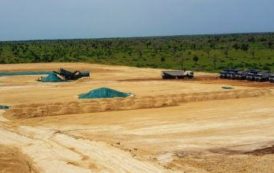 Sénégal : Avenira veut accroître la capacité de production de la mine Baobab