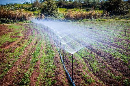 Zimbabwe : le gouvernement envisage de lever 50 millions $ pour financer la réalisation d’infrastructures d’irrigation