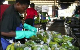 Crise anglophone au Cameroun : pertes de 6 milliards FCFA de recettes fiscales, 269 milliards FCFA de chiffres d’affaires et 6 434 emplois
