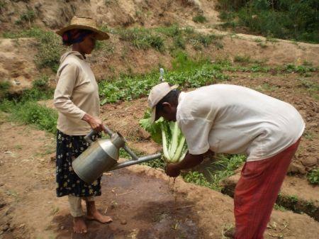 Madagascar : le FIDA alloue 53 millions $ au profit de la sécurité alimentaire et nutritionnelle