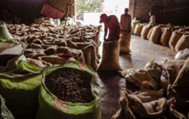 Café : le Forum mondial des producteurs demande à l’industrie de s’attaquer à la baisse des prix