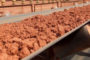 Côte d’Ivoire : Volumes of cocoa sent to main ports up 33% at August 13