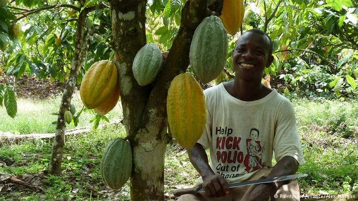 Cameroun : l’interprofession cacao-café évalue le déroulement de la campagne cacaoyère dans le bassin du Nyong-Ekelle