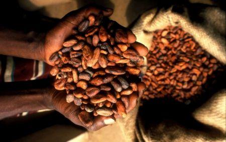 Ghana : le Cocobod remboursera le prêt syndiqué de 1,8 milliard $, d’ici la fin juillet