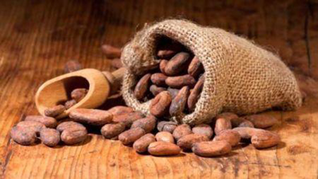 Le Cameroun veut réduire de 50% la redevance à l’exportation du cacao, afin de ne pas décourager les opérateurs de la filière