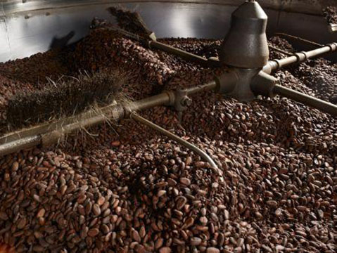 Cameroun : L’ambition de l’Australien Atlantic est de transformer 15 000 tonnes de cacao au Cameroun