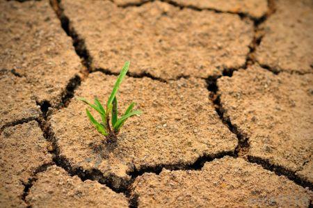 Sénégal : 25 000 agriculteurs ont bénéficié du projet 4R de gestion de risques climatiques entre 2013 et 2017