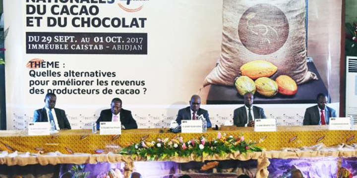 Côte d’Ivoire : la campagne de tous les dangers pour le cacao