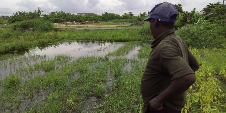 A Cotonou, l’agriculture urbaine perd du terrain face au béton