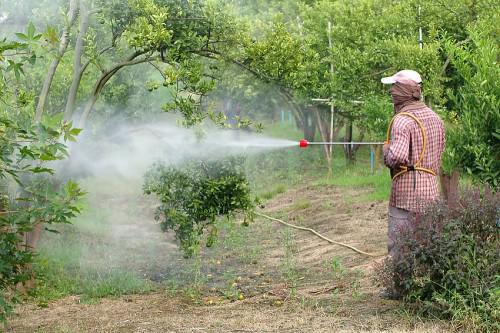 Five new phytosanitary products approved in the CEMAC zone