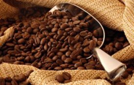 L’OIC revoit la production mondiale de café de 2016/2017 à la hausse