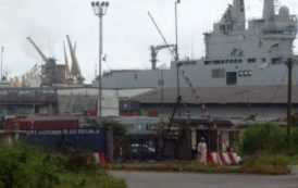 Le port de Douala rejette la responsabilité d’être à l’origine de la faillite de Rougier au Cameroun