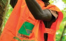 Côte d’Ivoire : bénéfice après impôts de 1,16 milliard de FCFA pour la SAPH en 2016