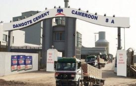 Après une année 2016 difficile, Dangote Cement Cameroon renoue avec les bénéfices en 2017, avec un résultat net de 3 milliards FCFA