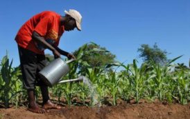 Libreville accueille la cinquième édition de l’Africa Agri Forum en décembre 2018