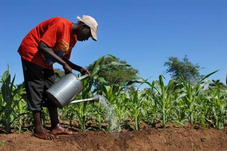 Libreville accueille la cinquième édition de l’Africa Agri Forum en décembre 2018