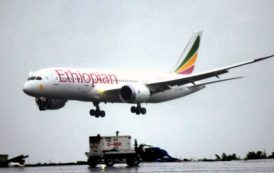 L’Ethiopie décide d’ouvrir le capital de grandes entreprises publiques au privé