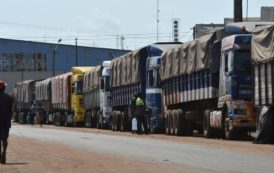 Des centaines de camions de café bloqués au port d’Abidjan en Côte d’Ivoire