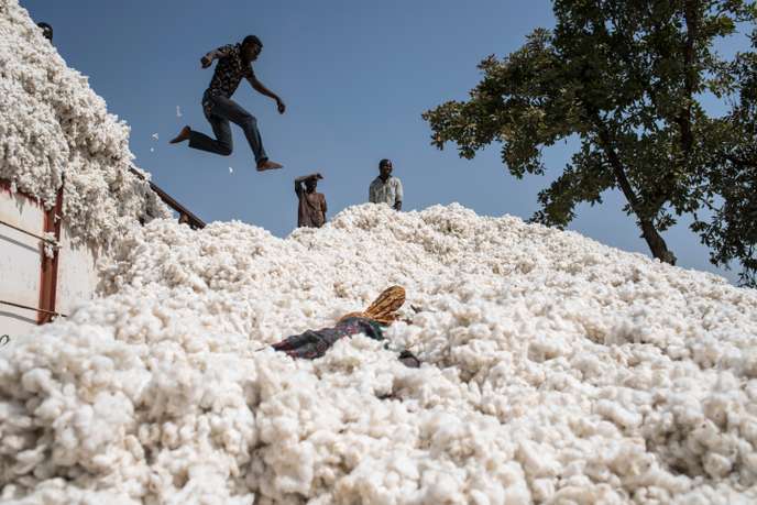 La production africaine de coton soumise à une rude concurrence