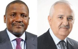 Du ciment à l’agriculture: le nigérian Aliko Dangote et le marocain Anas Sefrioui auraient-ils fait le même rêve ?