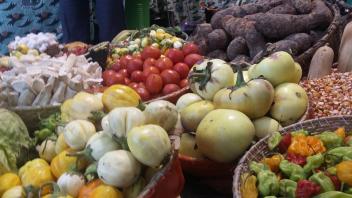 L’arrivée sur les marchés au Sénégal des produits de la nouvelle campagne