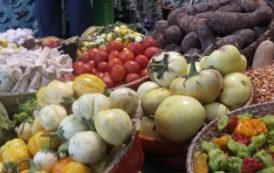 L’arrivée sur les marchés au Sénégal des produits de la nouvelle campagne