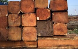 Les exportations camerounaises de bois sciés vers le marché européen ont chuté de 8% au premier semestre 2018