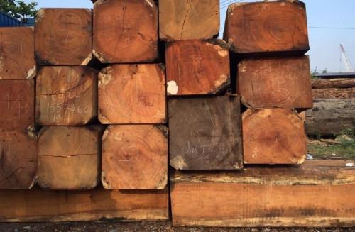 Les exportations camerounaises de bois sciés vers le marché européen ont chuté de 8% au premier semestre 2018