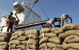 Cameroun : les arrivées de fèves de cacao au port de Douala en baisse de 20%, à la mi-décembre 2017