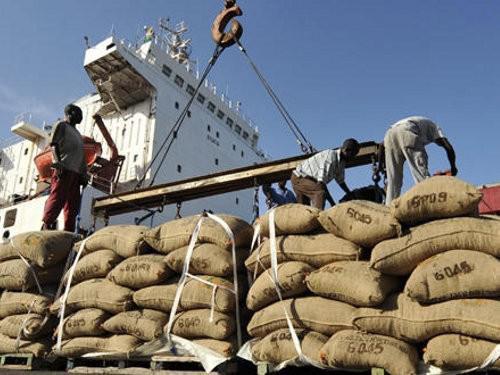 Cameroun : les arrivées de fèves de cacao au port de Douala en baisse de 20%, à la mi-décembre 2017