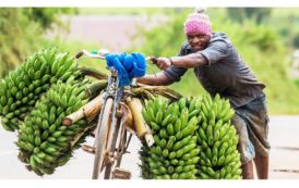 Côte d’Ivoire : Plus de 90% de nos produits sont exportés sous forme primaire.