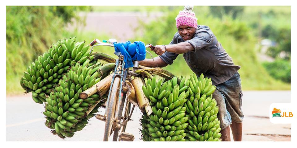 Côte d’Ivoire : Plus de 90% de nos produits sont exportés sous forme primaire.