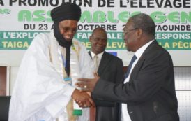Cameroun : Cérémonie d’ouverture de la 24ème Assemblée Générale de l’APESS  en images