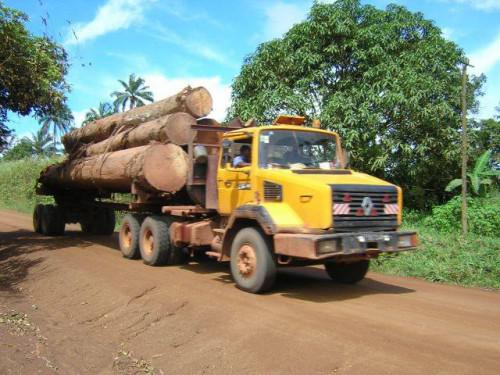 Le Cameroun veut augmenter de 2,5% la taxe à l’exportation du bois en grumes dès 2017