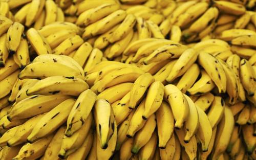 L’agroindustriel camerounais CDC met en vente 20 000 tonnes de bananes hors standard