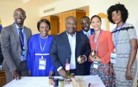 Le Président Ali Bongo Ondimba rencontre délégation de jeunes entrepreneurs gabonais en images