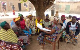 Burkina : Programme d’Autonomisation Economique des Jeunes et des Femmes au Burkina (PAE/JF) en imges