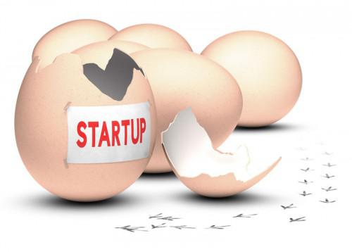 La Banque mondiale offre aux start-up camerounaises la possibilité de bénéficier d’un programme d’incubation de 5 mois